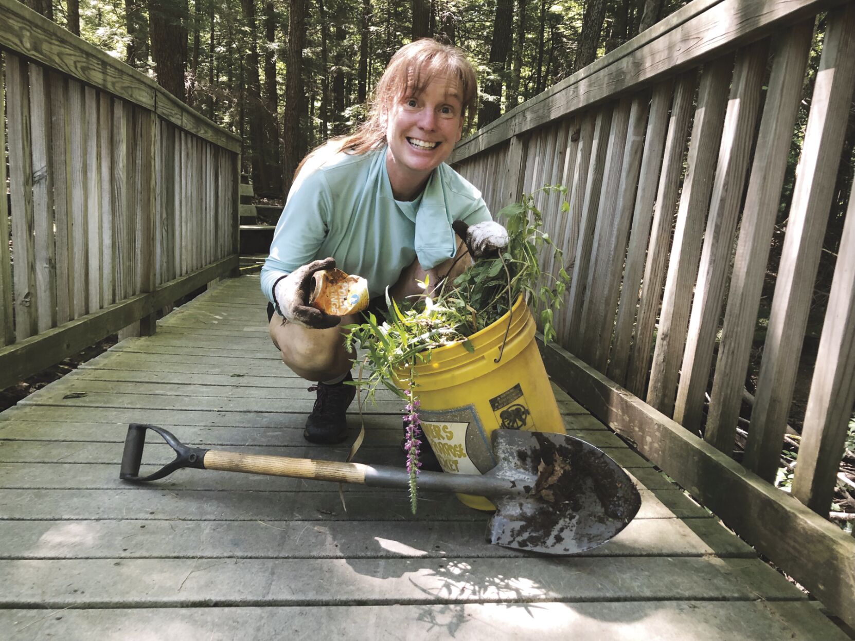 Seeking volunteers to remove purple loosestrife in Wetlands Walk area